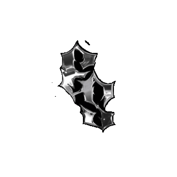 Exoticsocietyofficial